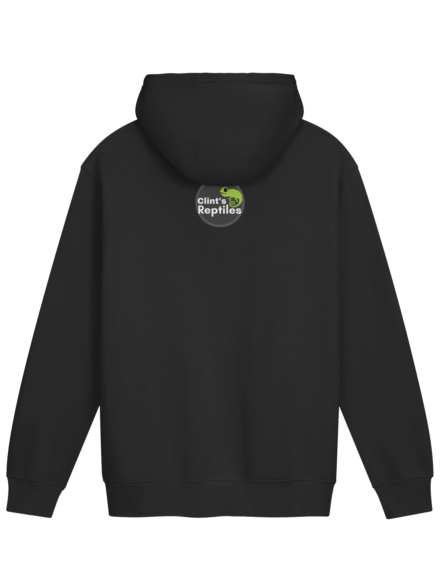 Spinosaurus - Hoodie product image (2)