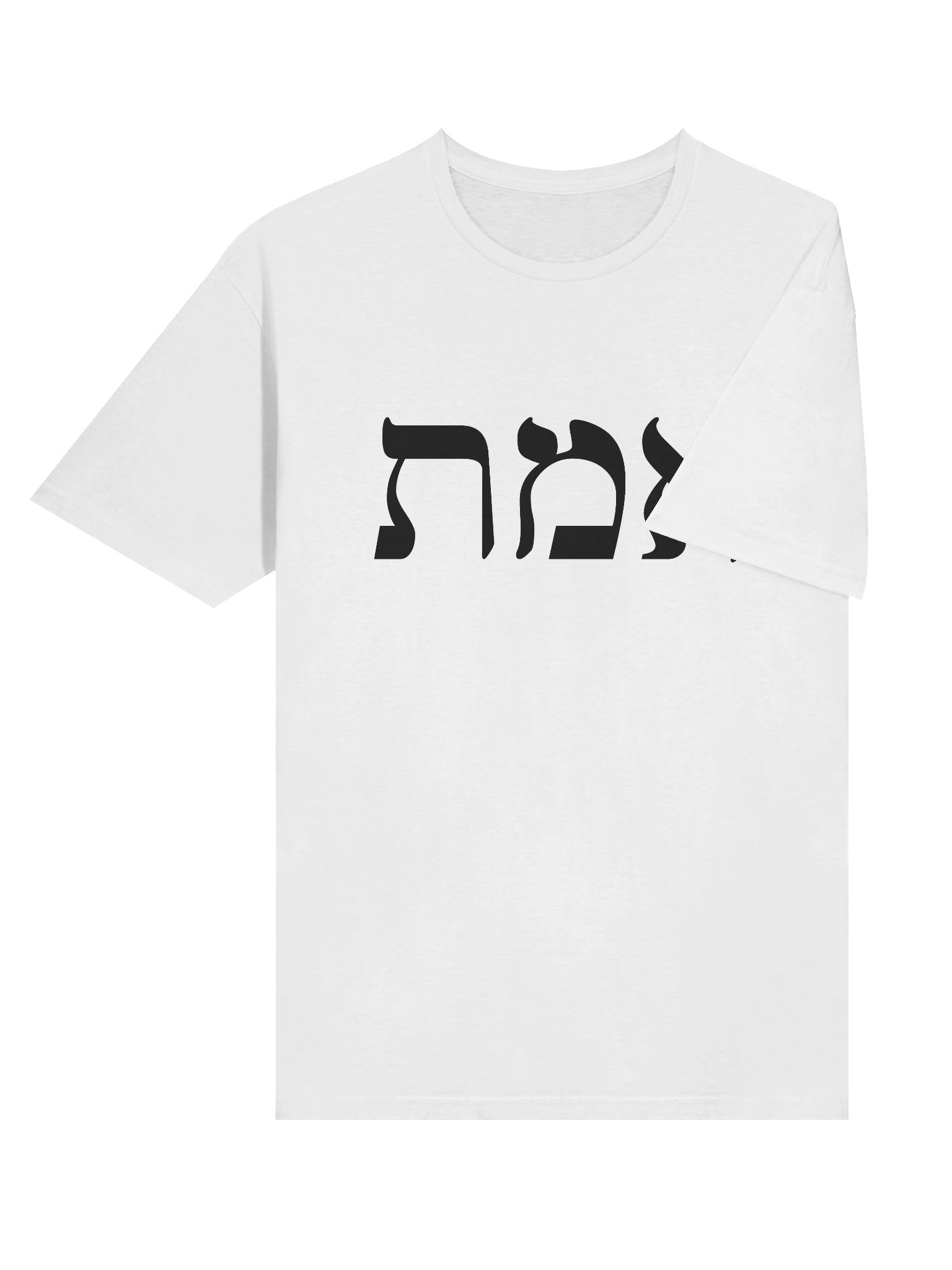 AMT Tee product image (6)