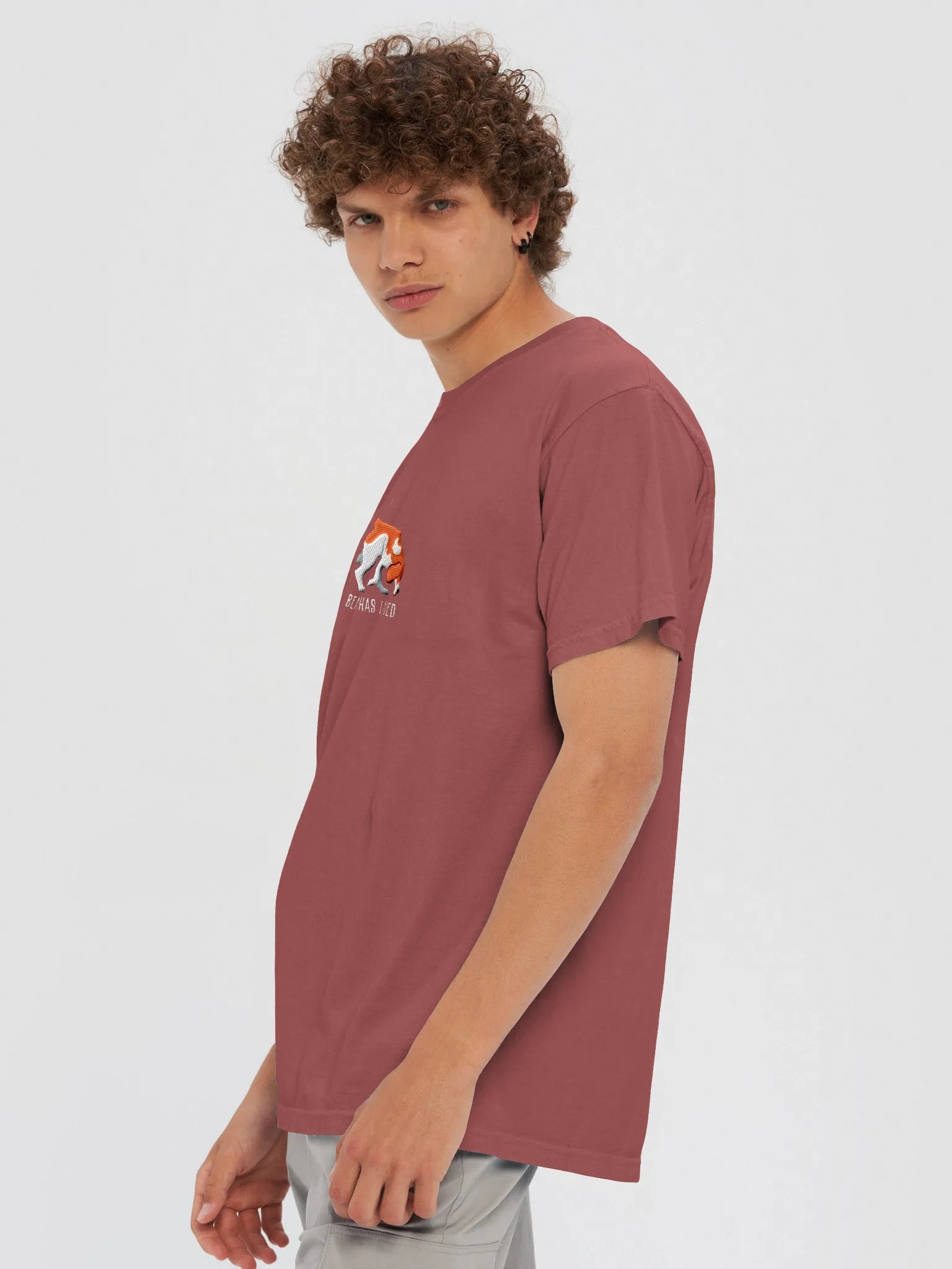 The Beagle Has Landed T-Shirt(Embroidered) of a Beagle(Red) product image (8)