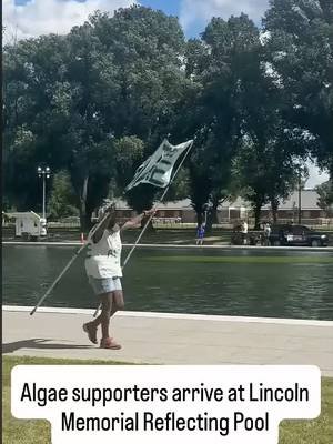Let's go algae, let's go!
