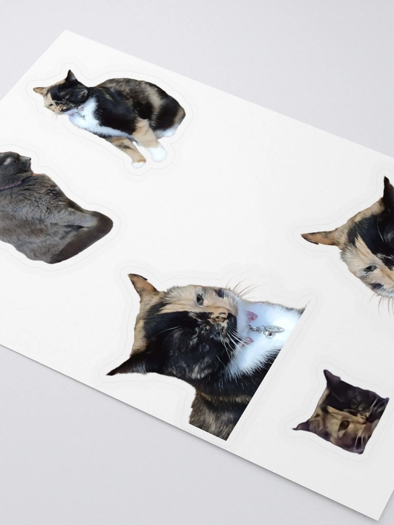 Judging Intensely Sticker Sheet product image (3)