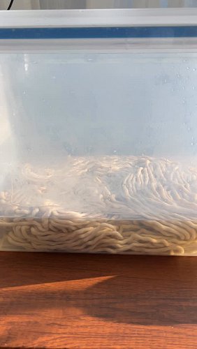 Just spent the day hand dyeing macrame cord with fiber reactive dyes from @dharmatradingco and I'm having a blast. Can't wait...