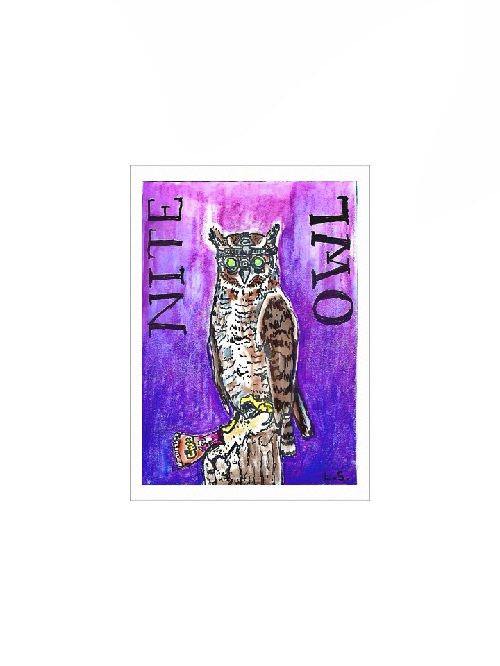 #2 Night Owl - Wildly Inappropriate Series product image (1)