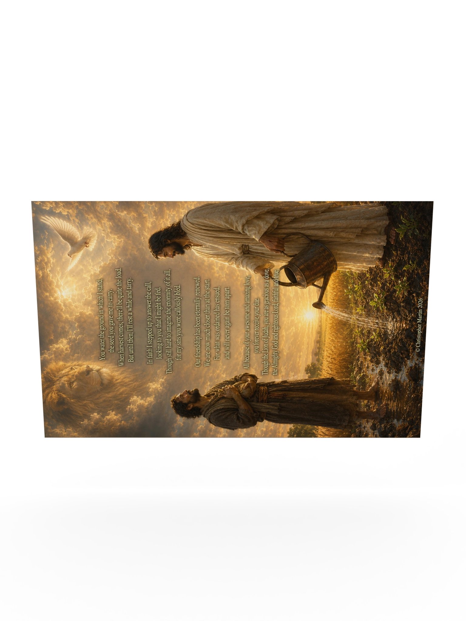 Abundant provision product image (10)