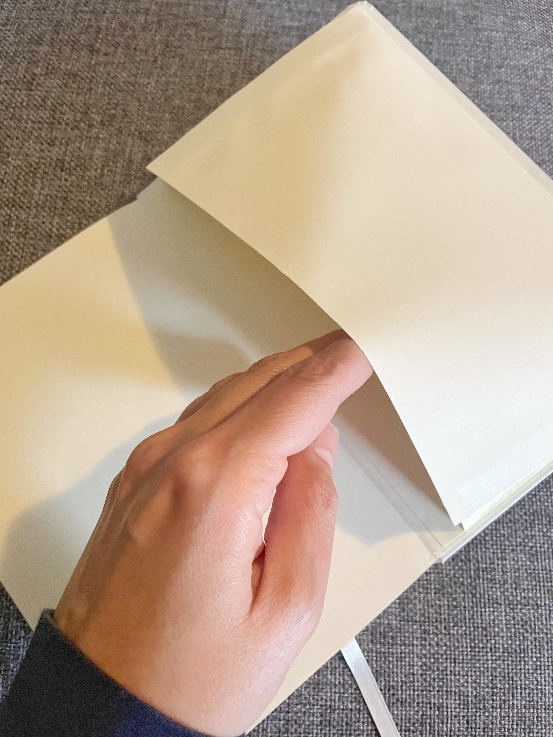 Shiny New Thing Syndrome Journaling Notebook product image (17)