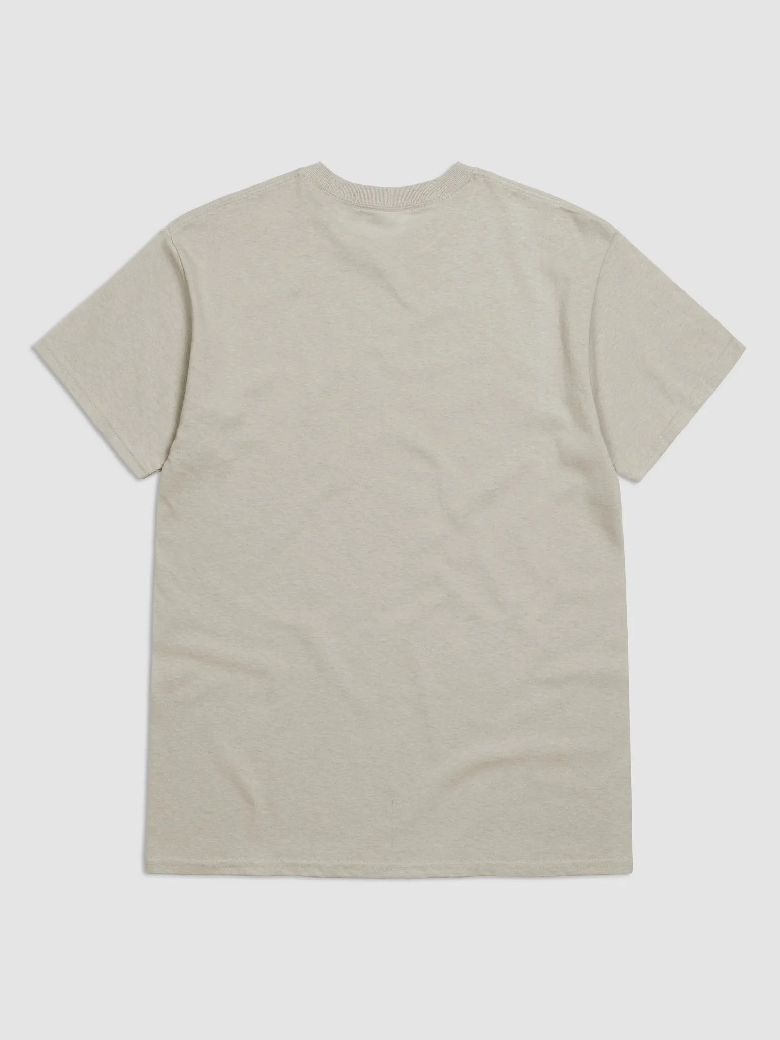 Be Gay, Ride Rollercoasters (light - 100% cotton) product image (2)