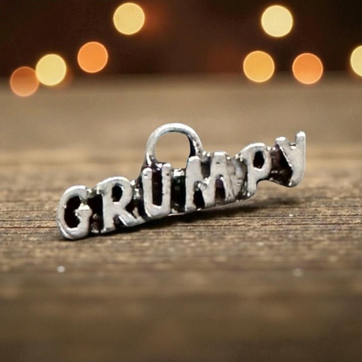 Grumpy Silver Whinny Winners Braid and Bridle Charms for Horses | Little Shop of Ponies product image (1)