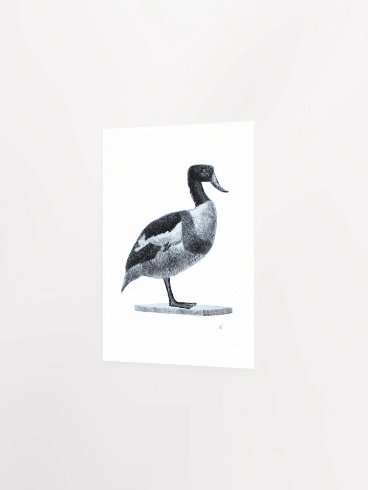 Majestic Bird Illustration Poster - Duck product image (2)
