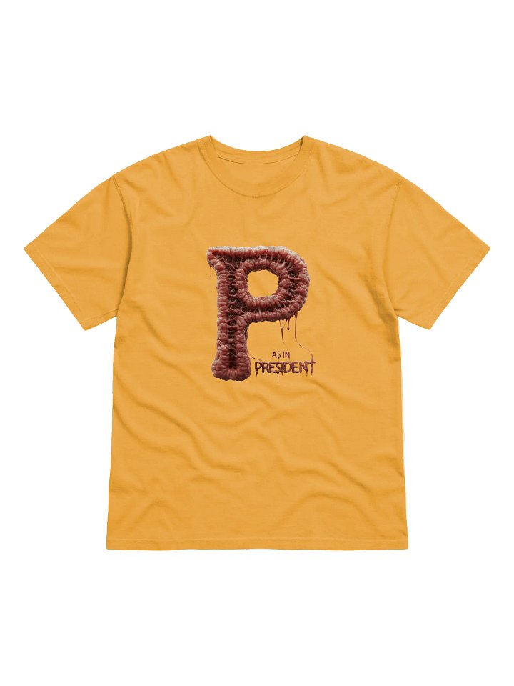 P as in president 2 garment-dyed heavy weight t-shirt by dark alphabet product image (1)