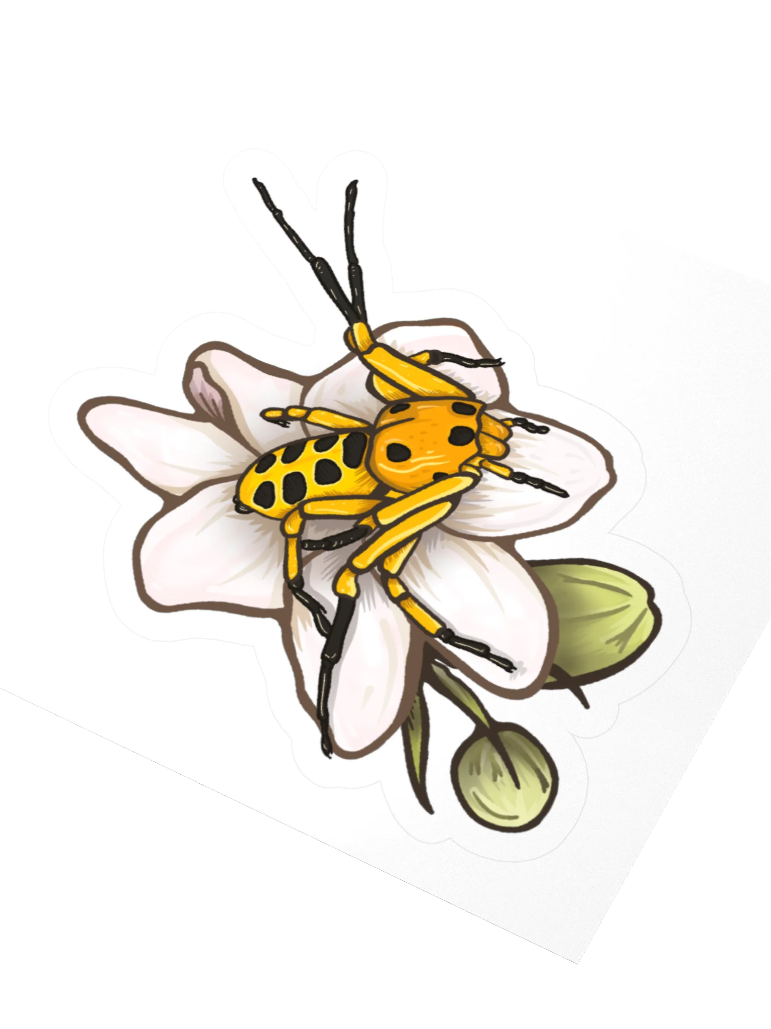 pikachu crab spider sticker product image (9)