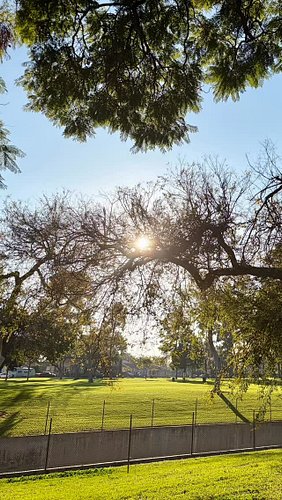 Bellissimo sole!

#nature #sole #life