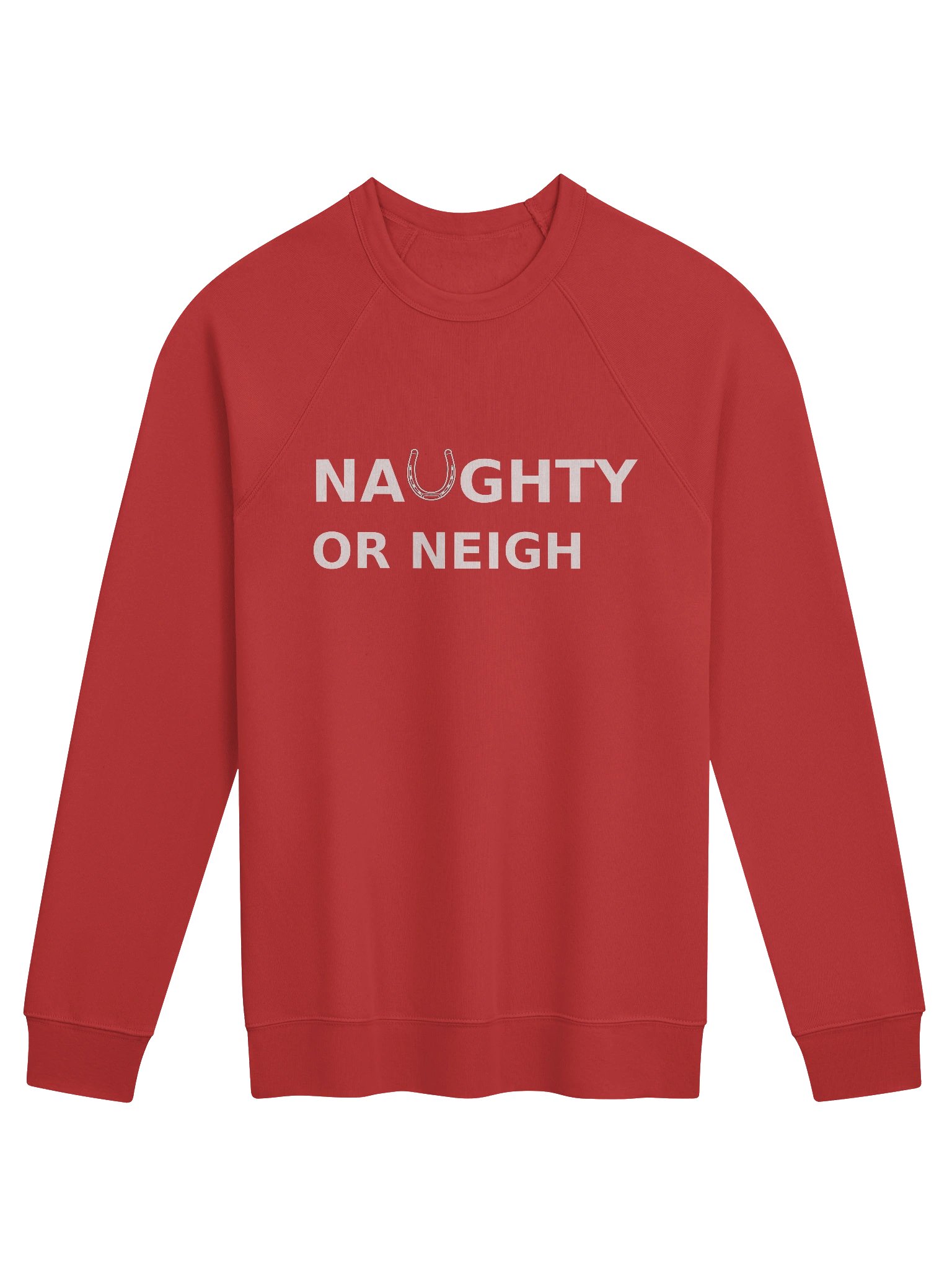 The Naughty or Neigh Sweatshirt (wholesale) product image (1)