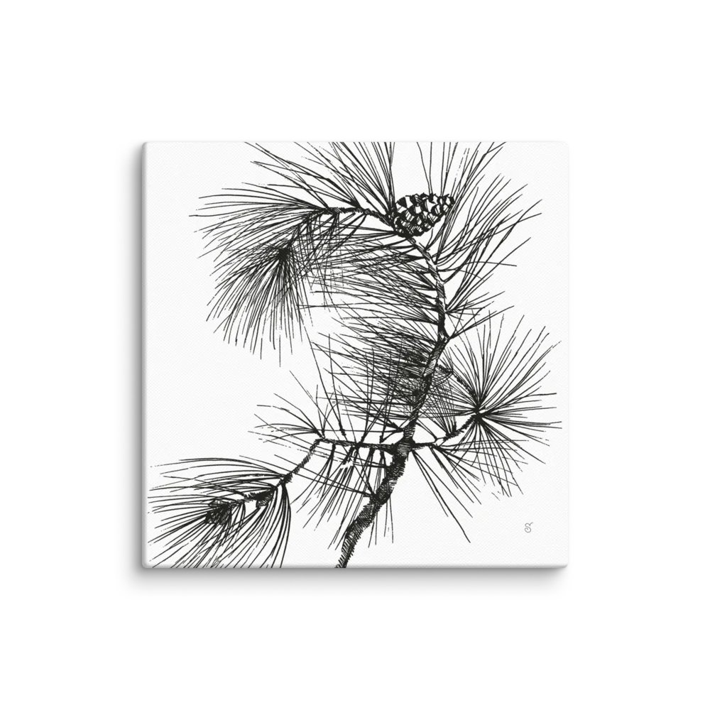 Blank Canvas Collection - Pine Branch product image (1)