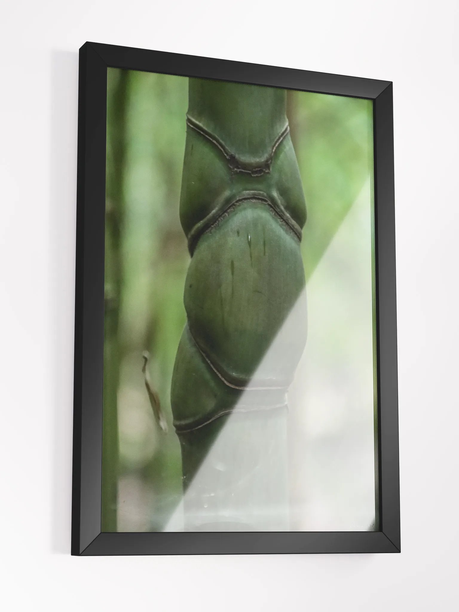 Print Fine Art – Pillar of Life | Jardin du Rayol Collection 🌱🏛️ product image (6)