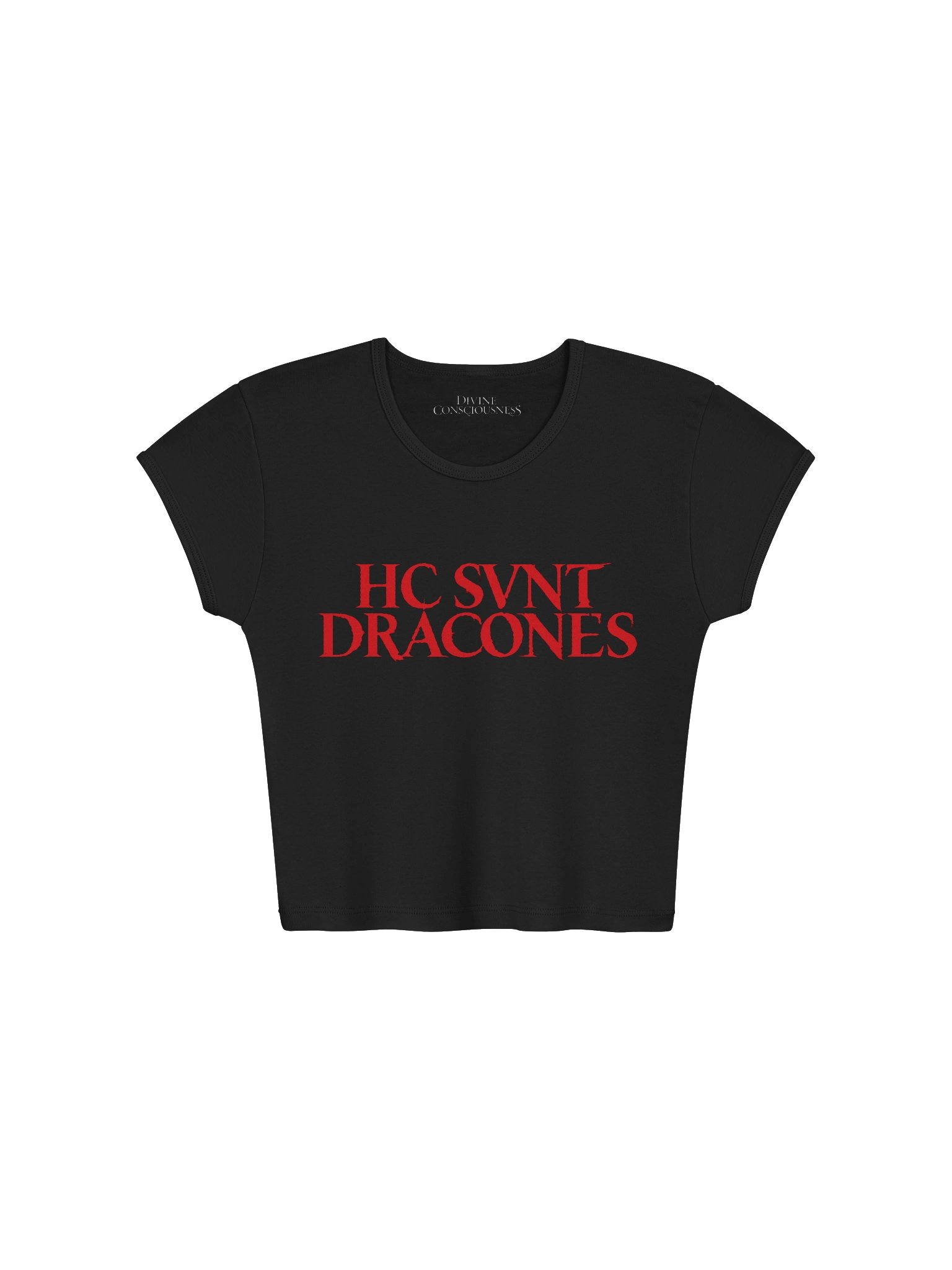 HC SVNT DRACONES - Womens Ribbed Baby Tee product image (1)