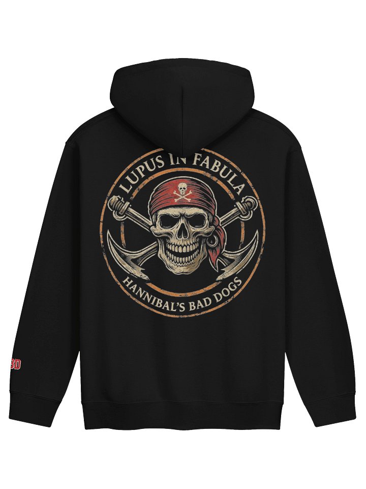 HBD Hoodie HTV Edition product image (6)