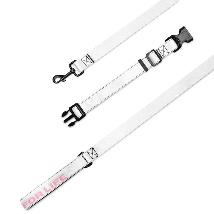 Ari's Collar & Leash product image (1)