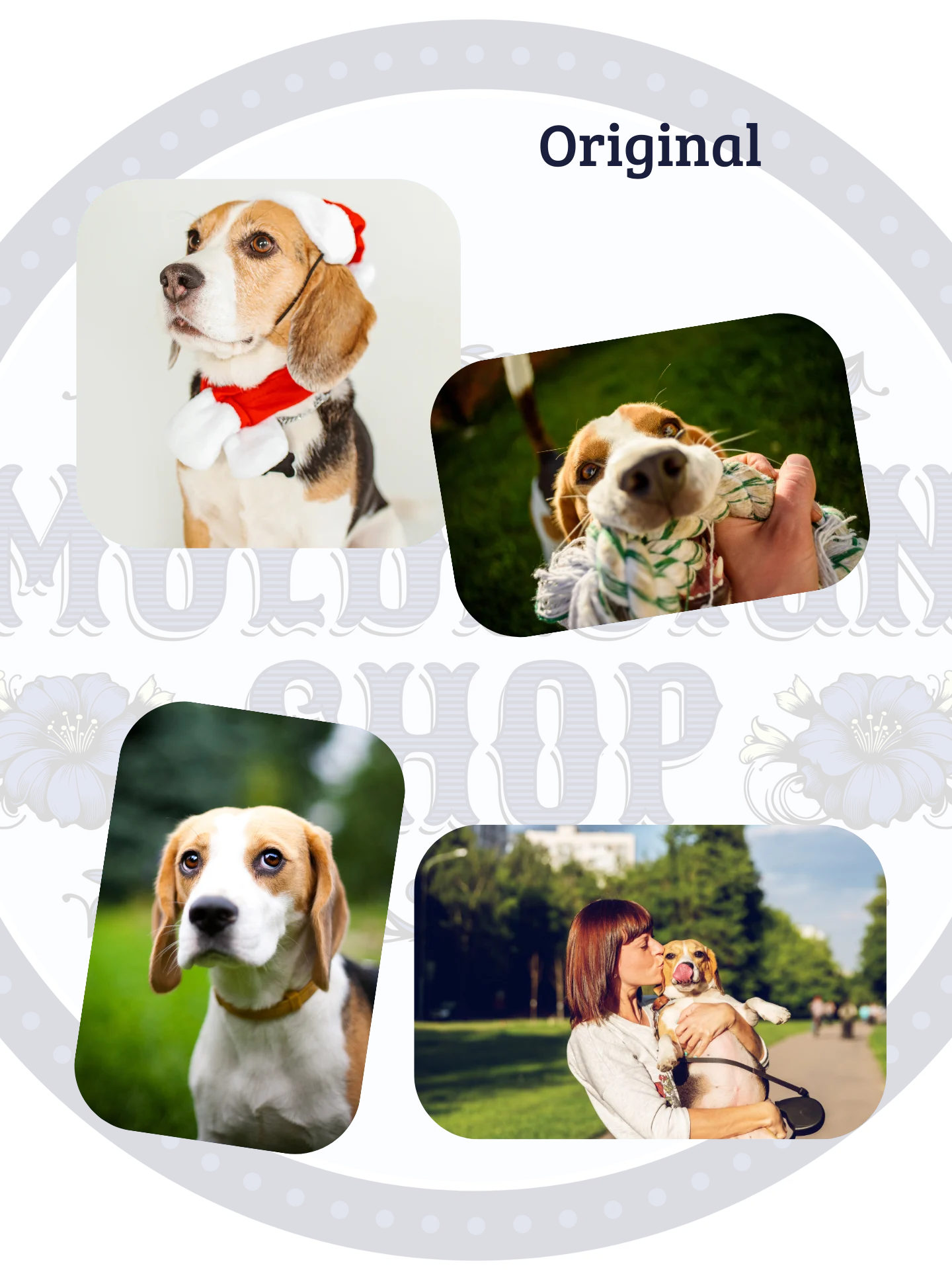 YOUR BEST FRIEND! / STICKER WITH PERSONALIZED NAME X4 product image (4)
