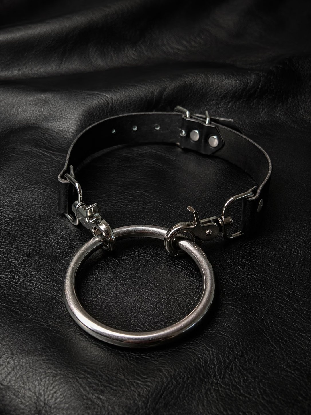 Big Dog Choker and Leash Convertible product image (1)