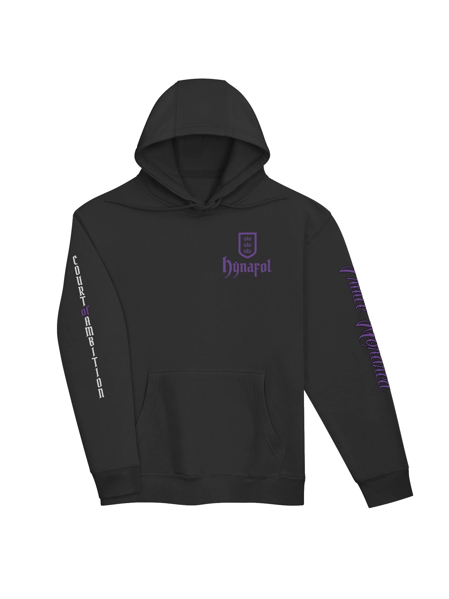 Court of Ambition Hoodie product image (2)