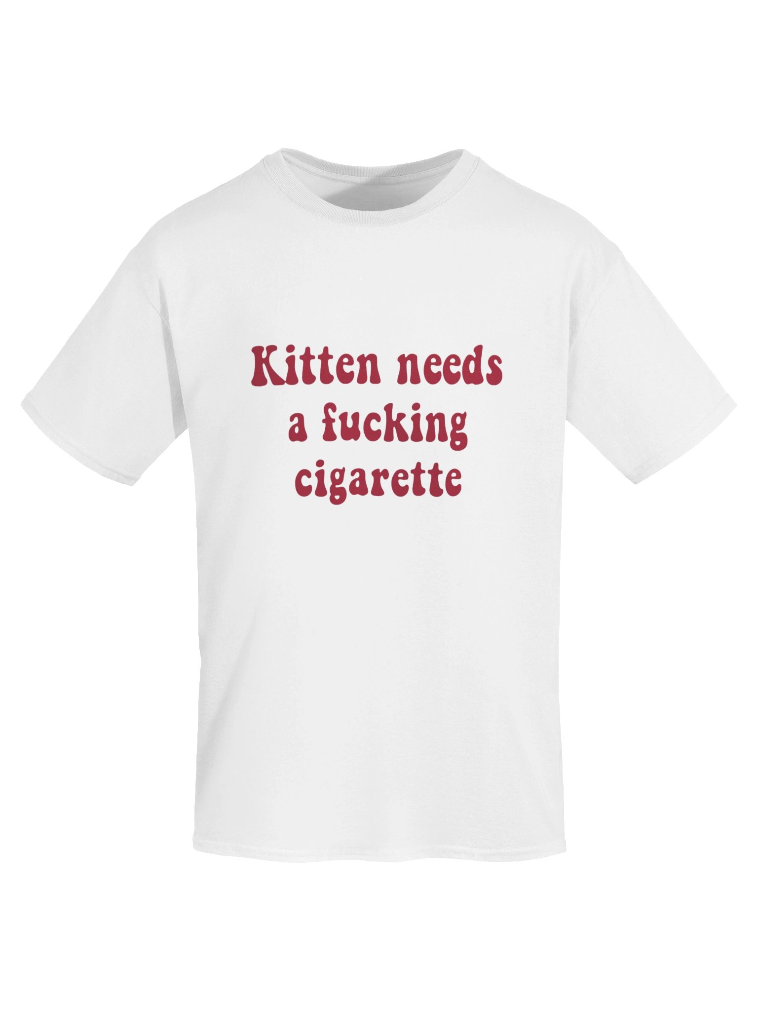 Kitten Needs a Fucking Cigarette Shirt product image (112)