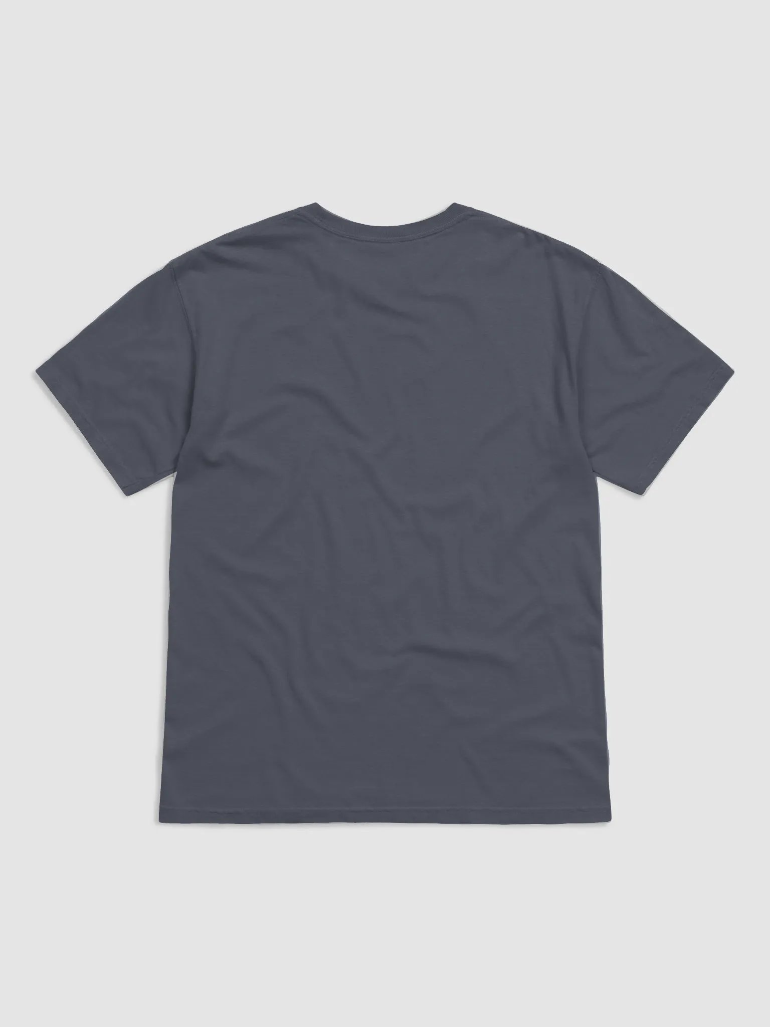 The Most Important Gig Tee product image (2)