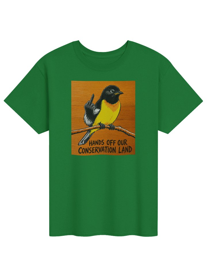Cluck off t-shirt product image (1)