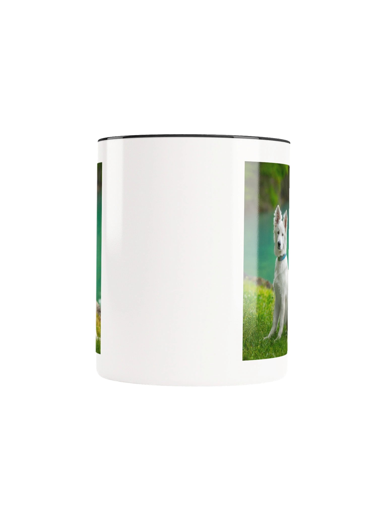 Lil Rasta at Lake Brienz product image (9)