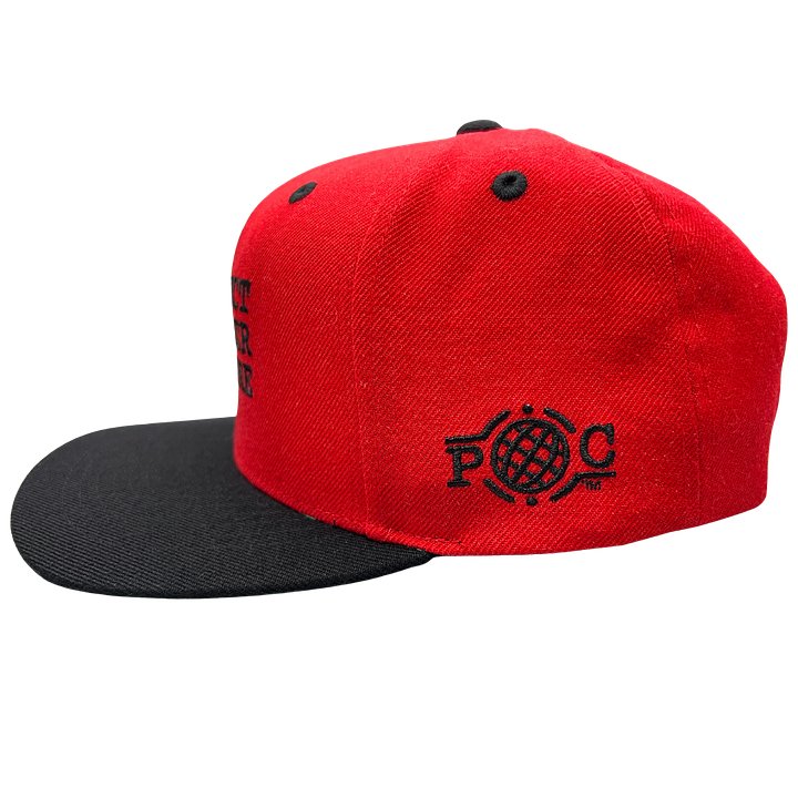 Protect Sneaker Culture Snapback Hats product image (2)