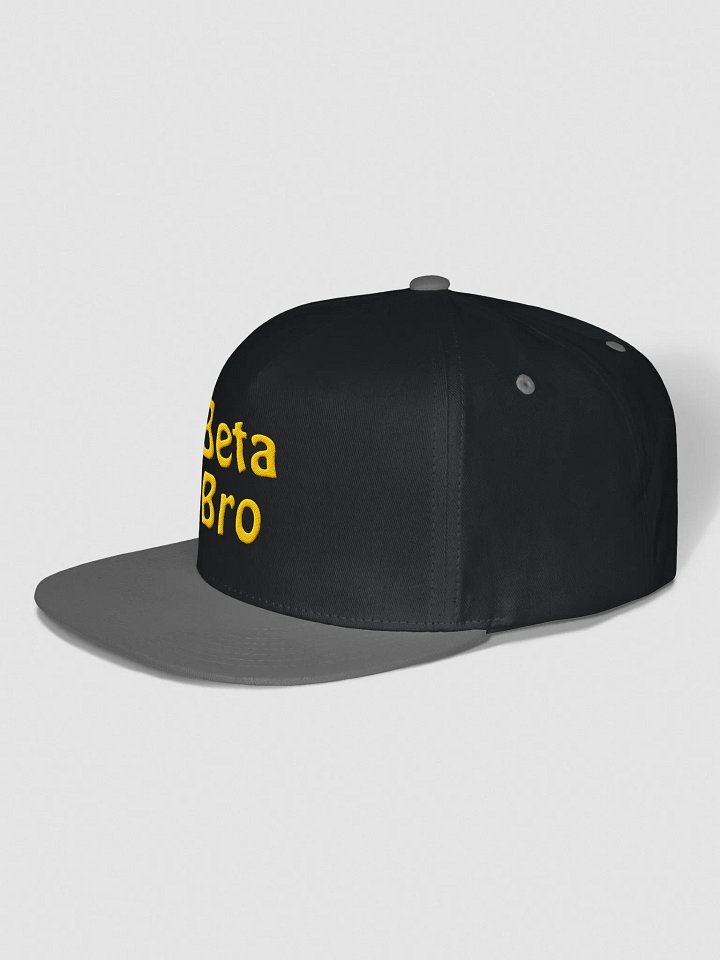 Meggs Beta Bro Snapback Cap product image (2)