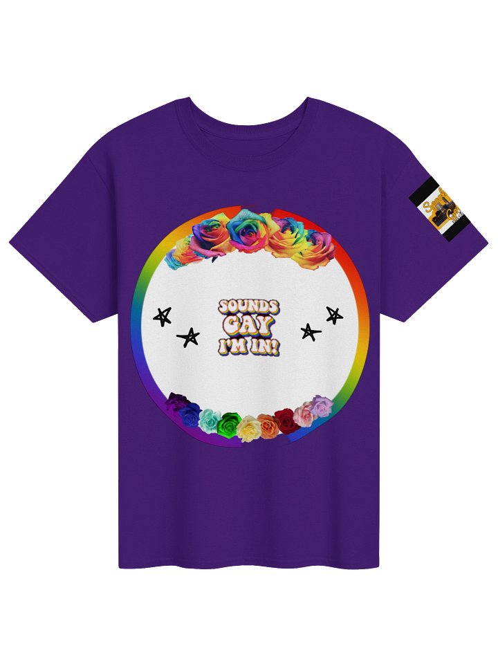 Sounds Gay I'm In Tee product image (1)