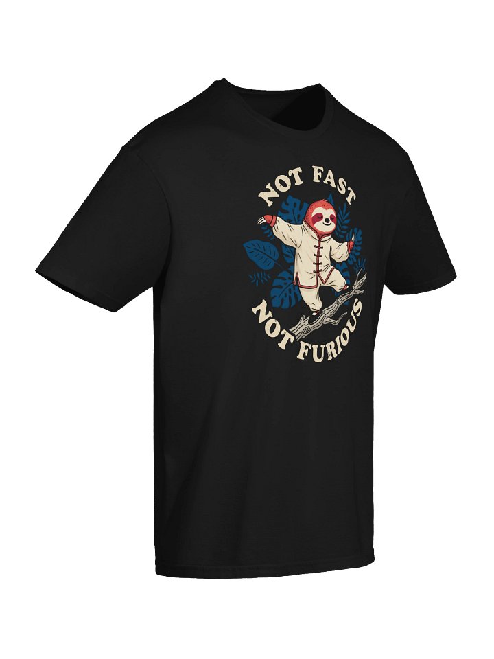 Funny Tai Chi Kung Fu Sloth Tee product image (2)