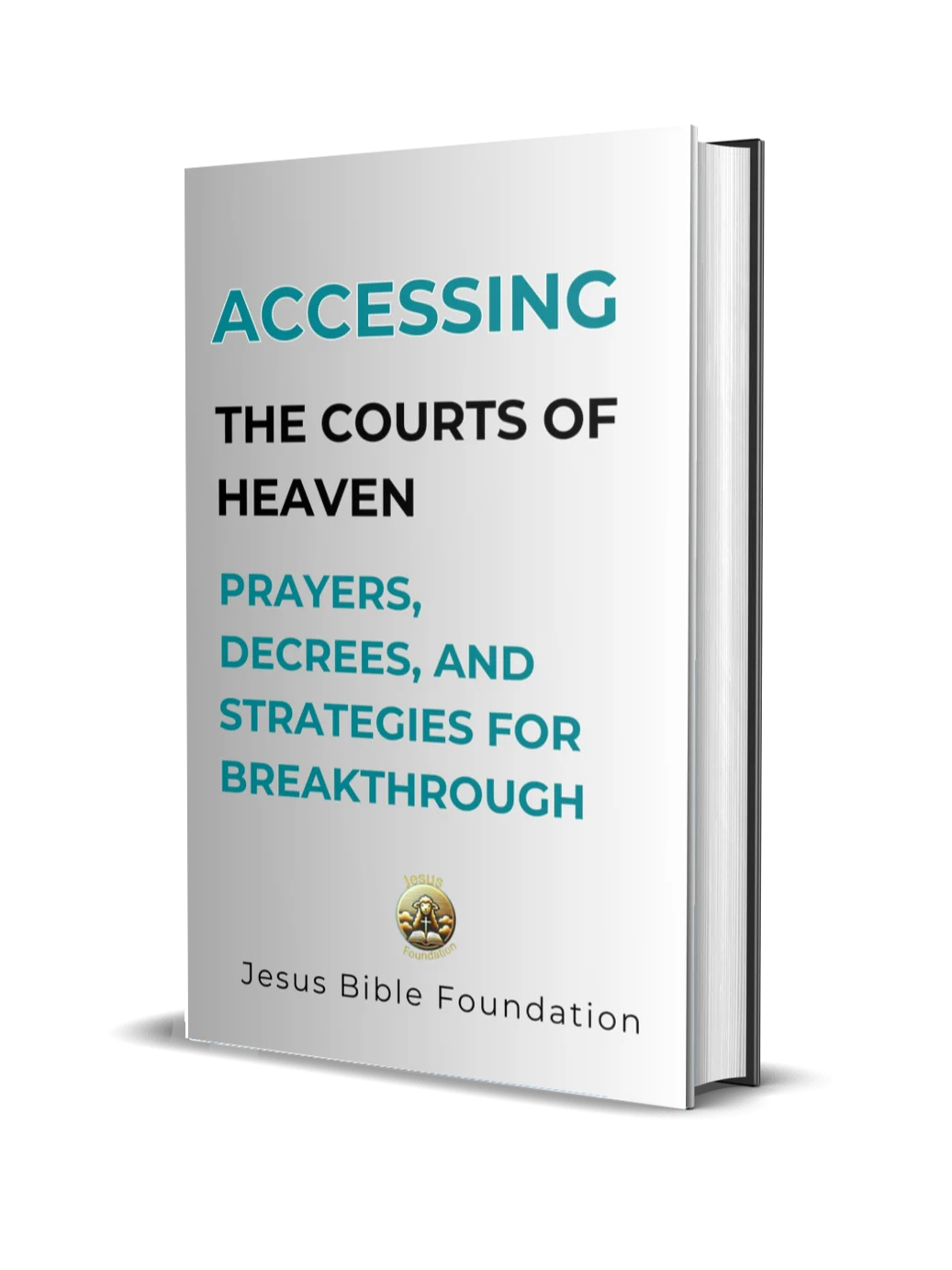 Accessing the Courts of Heaven: Prayers, Decrees, and Strategies for Breakthrough product image (1)