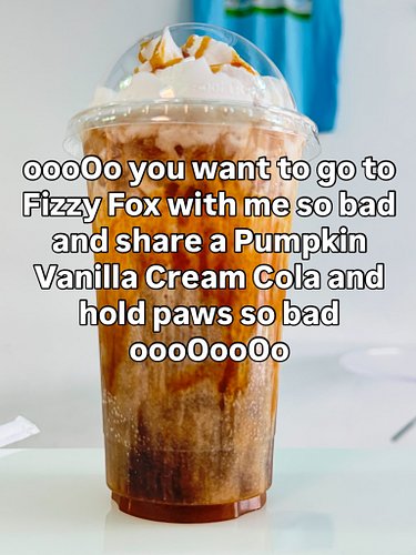 Photo dump of cool customers and yummy drinks!
Send this to someone you wanna hold paws at Fizzy Fox 👉👈

#furry #fursuit #fur...