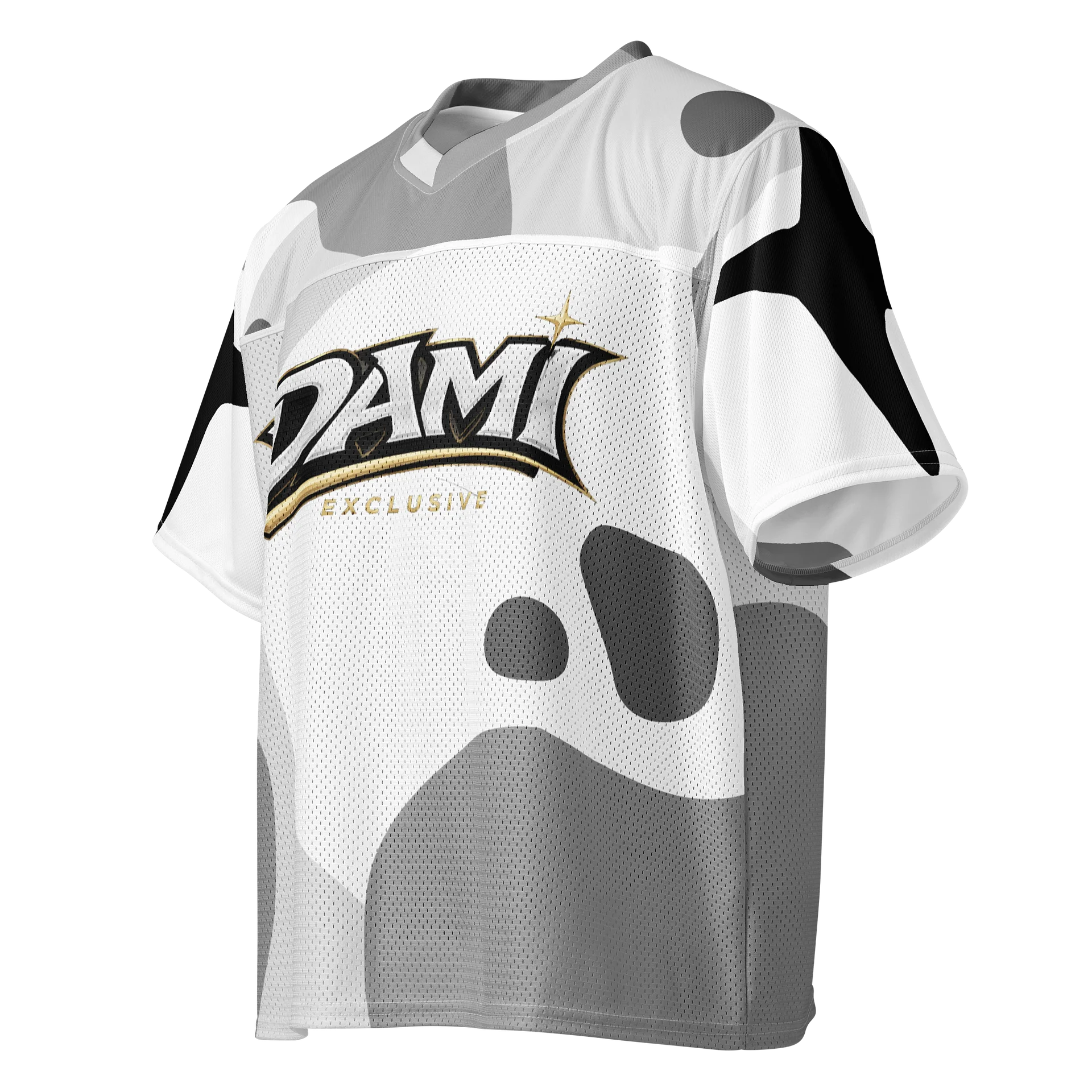 DAMI TEAM JERSEY product image (3)