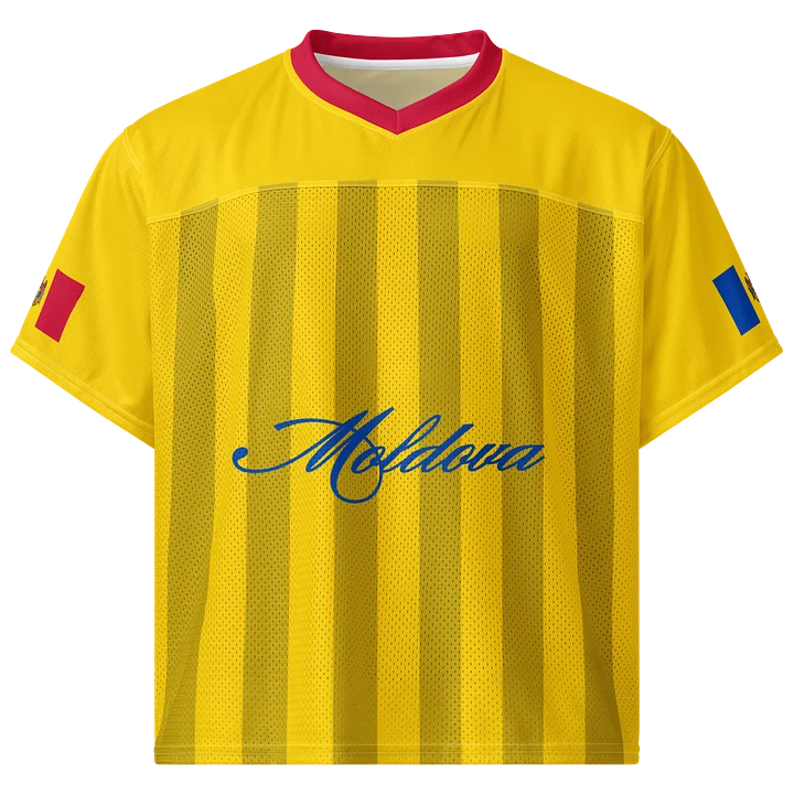 Moldova Boxy Sports Tee product image (1)