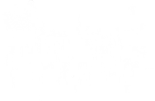 The Necropolis