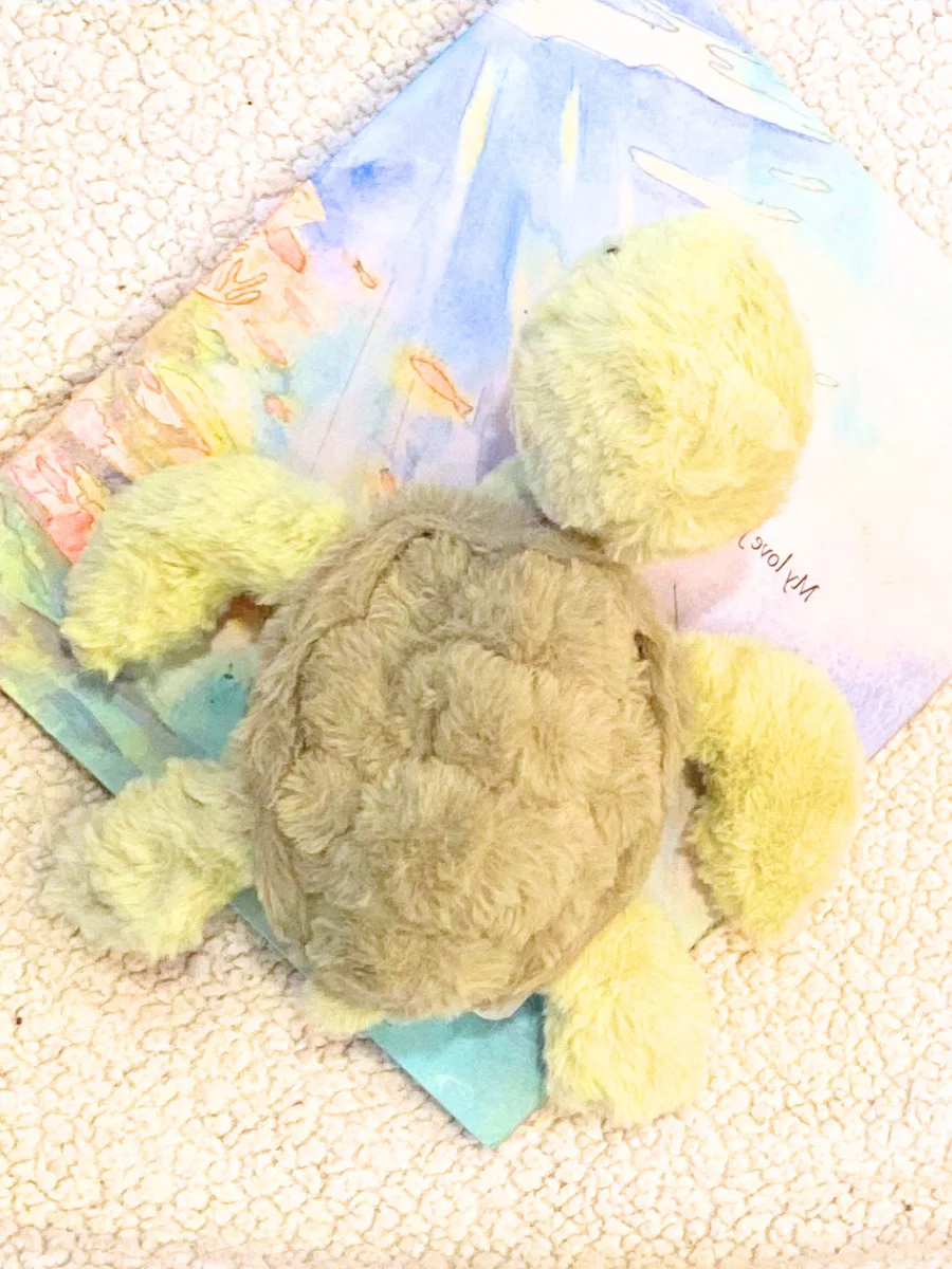 Decorative Turtle* product image (2)