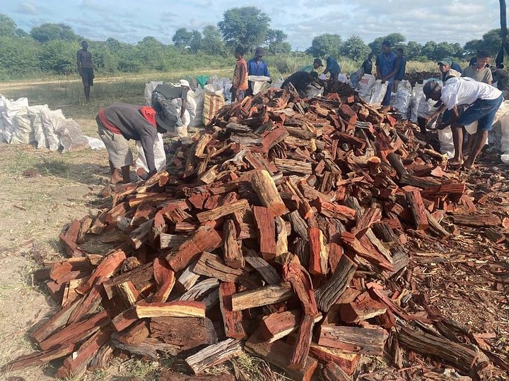 Camelthorn 10kg Firewood product image (2)