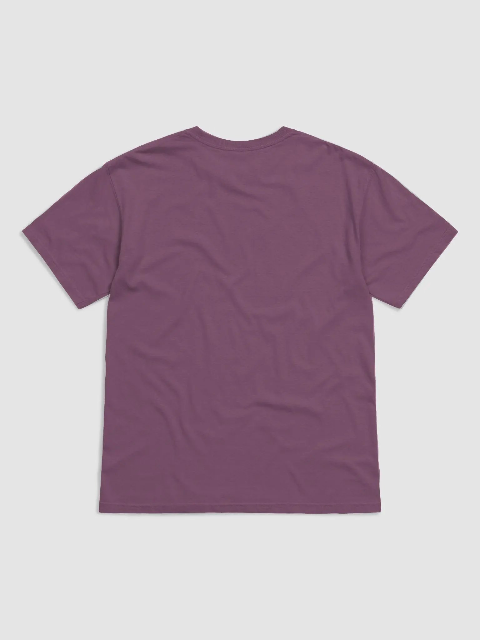 MINDSET IS EVERYTHING product image (10)