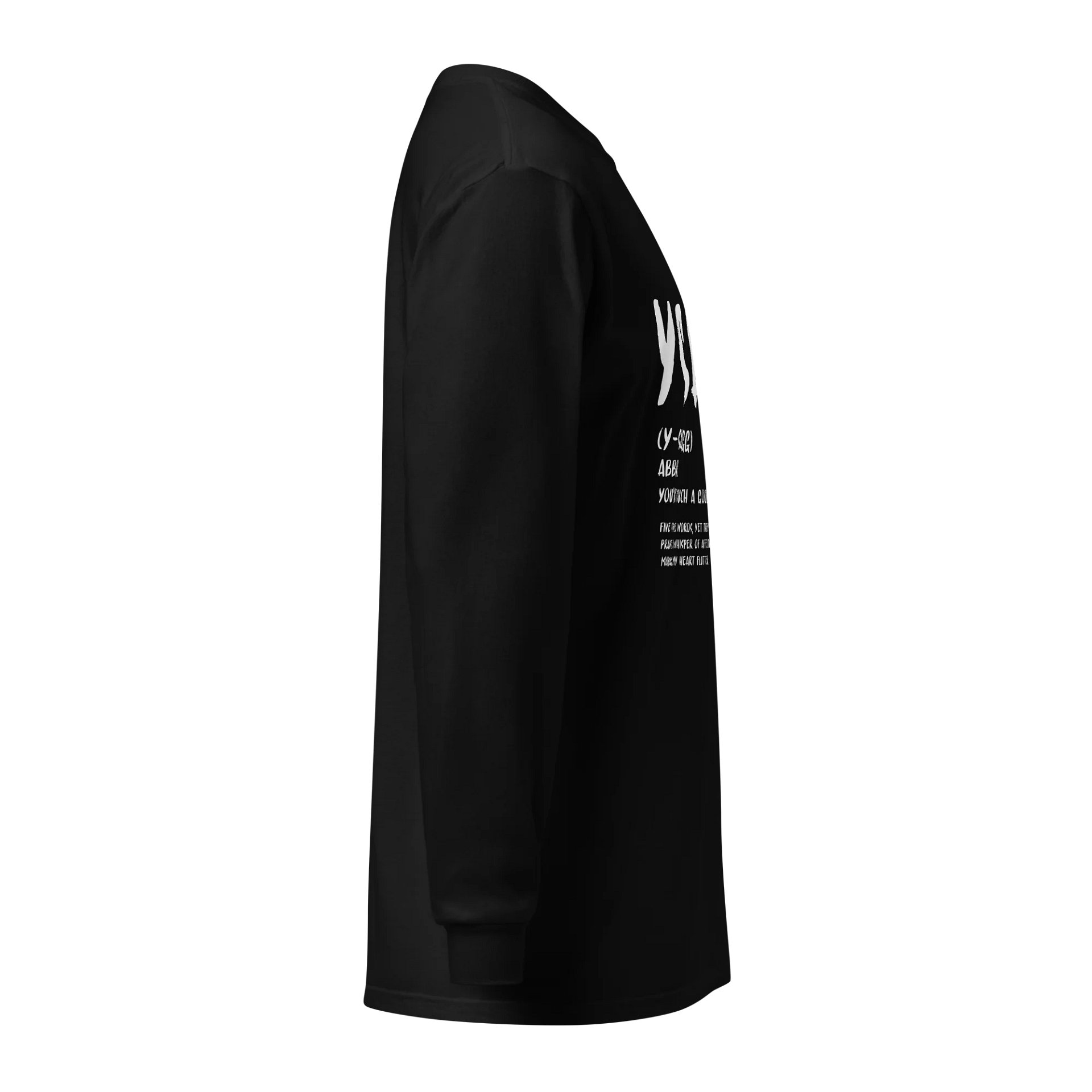 YSAGG Definition Long Sleeve product image (4)