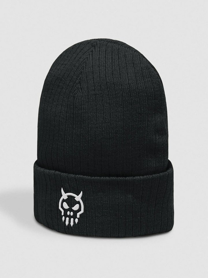 GEIN: Logo Beanie product image (2)