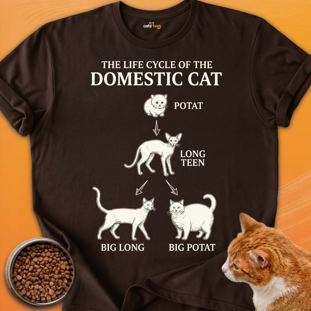 Domestic Cat product image (10)