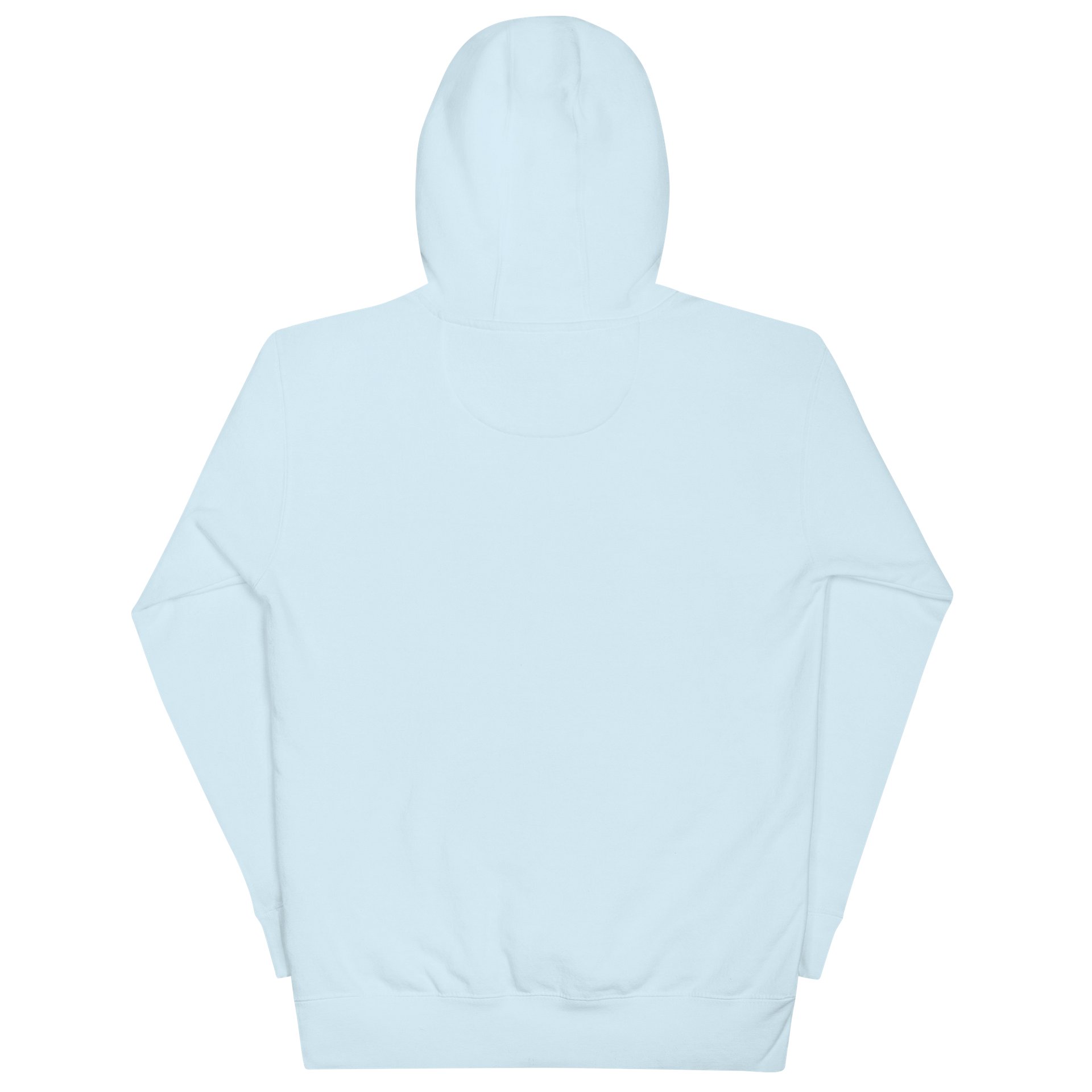 “I Met My Own Needs Today” Light Blue Hoodie product image (6)