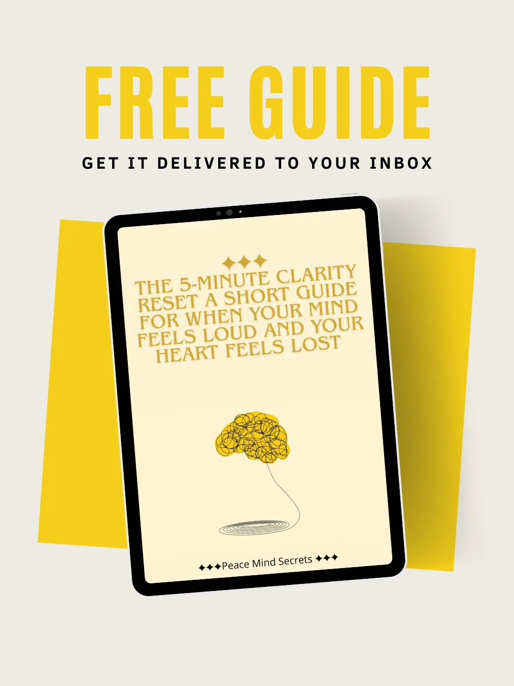 THE 5-MINUTE CLARITY RESET A short guide product image (1)