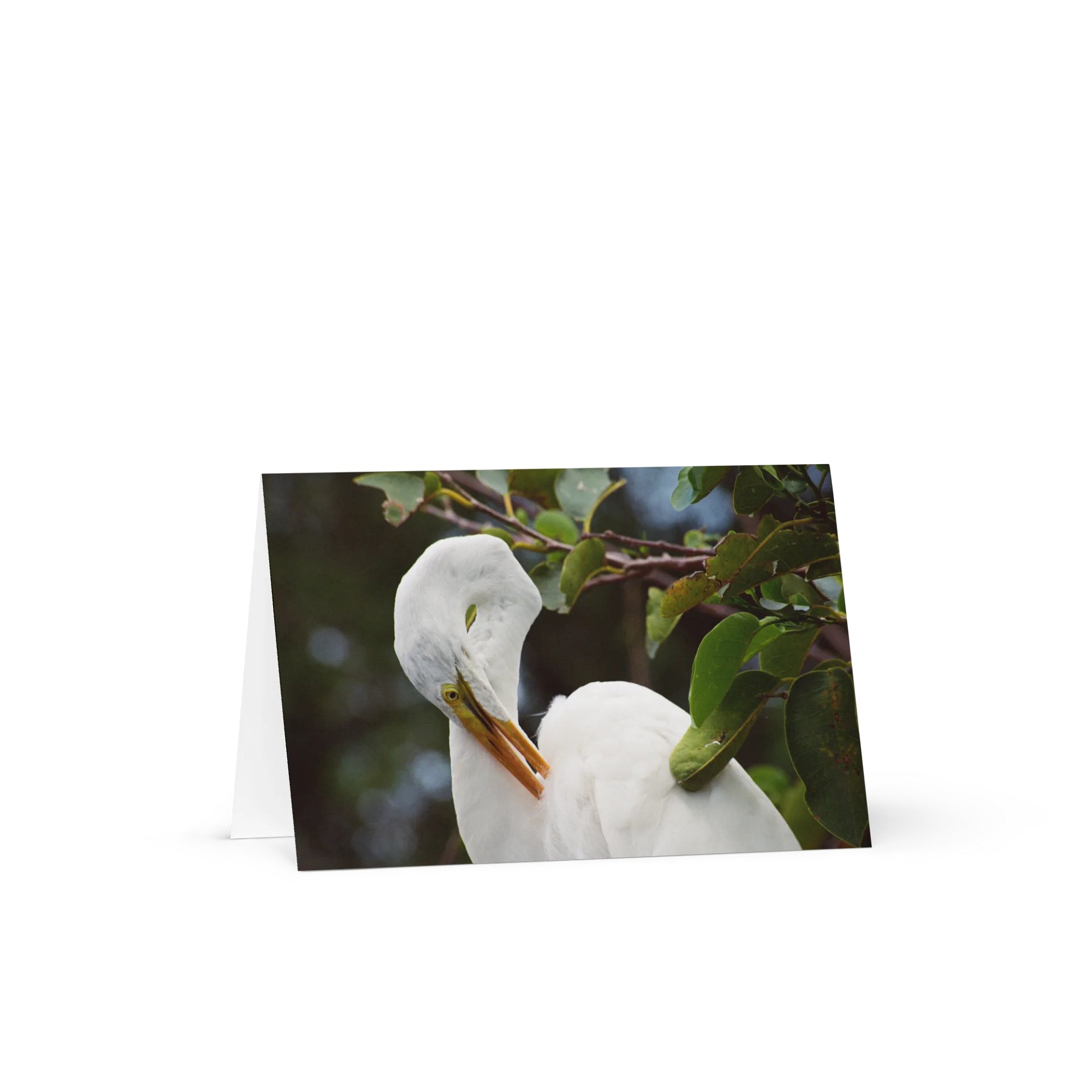 Egret "Postcard" product image (1)