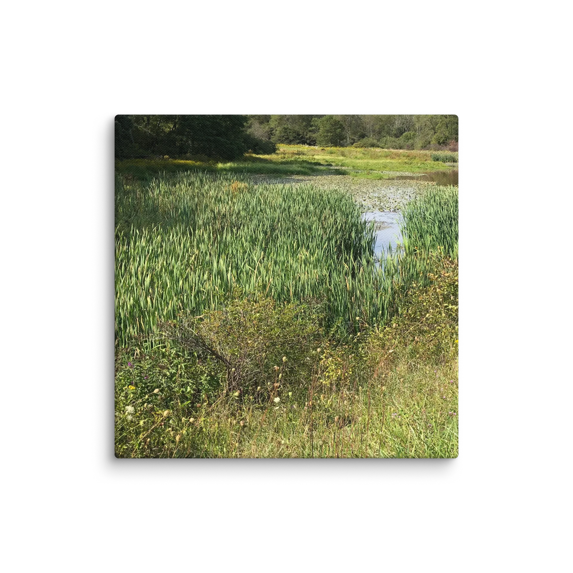 Marsh by Broadford Lake product image (5)