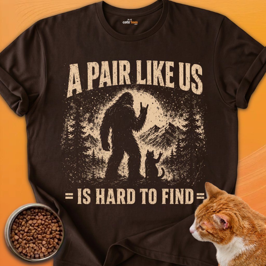 A Pair Like Us product image (9)