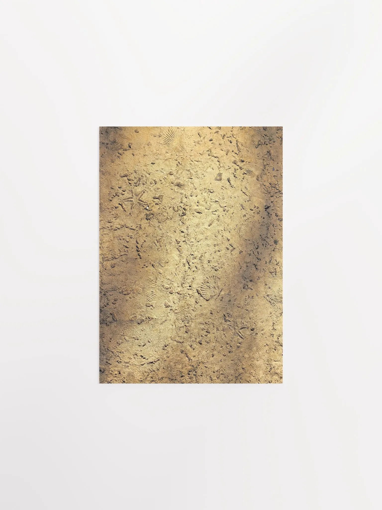 Beach Sand product image (4)