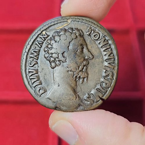 The end of the Golden Age of Rome. This Sestertius was issued by Commodus, celebrating the deification of the late Marcus Aur...